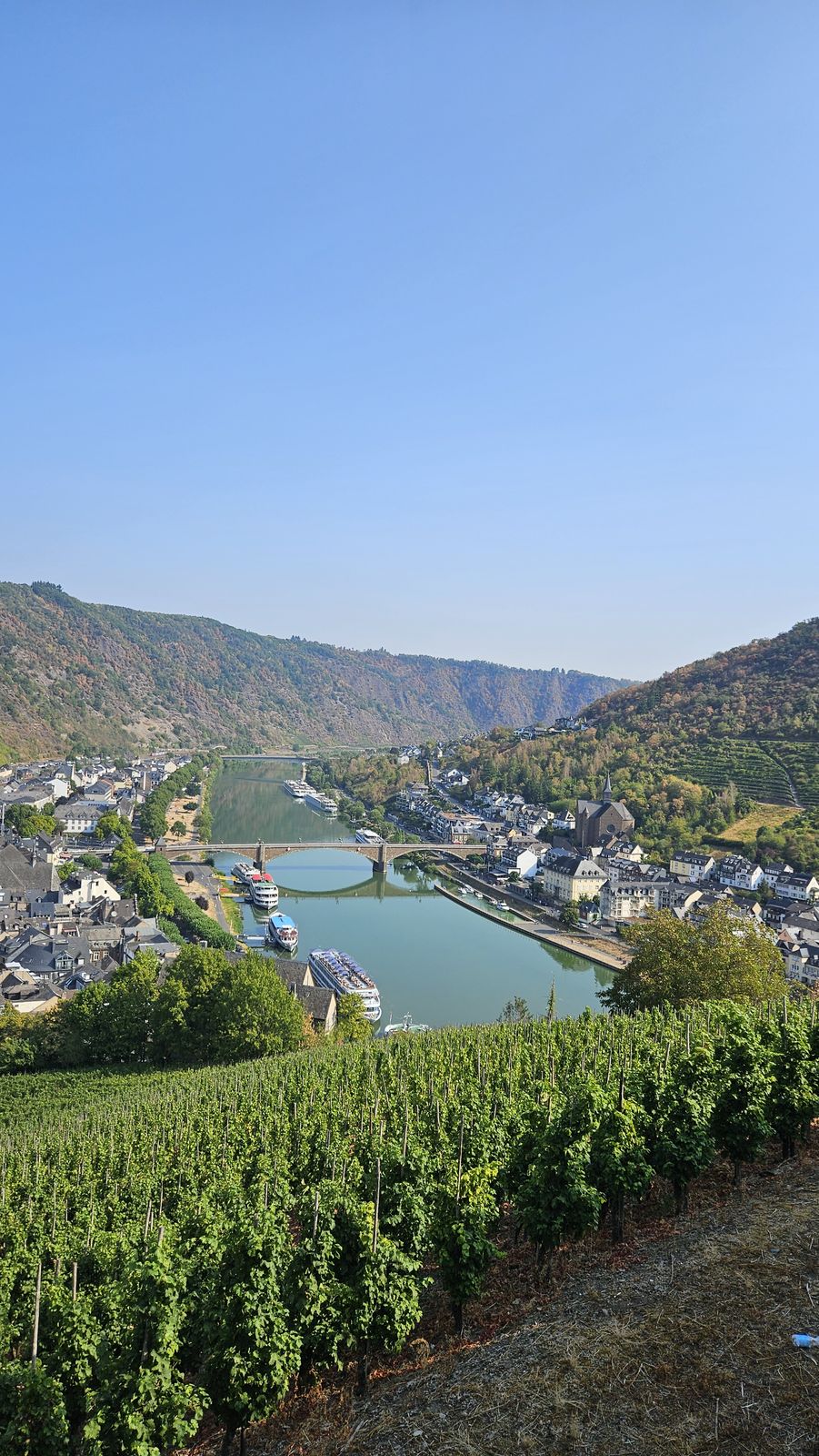 Cochem, desde los viñedos